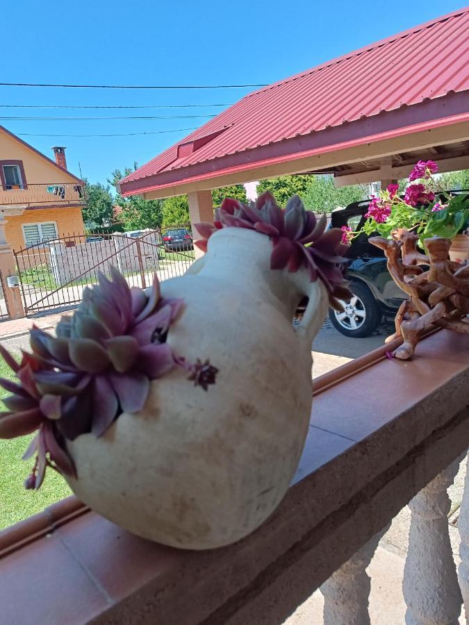 Calm Nest Apartman Nikšić Kültér fotó