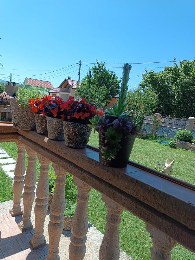 Calm Nest Apartman Nikšić Kültér fotó