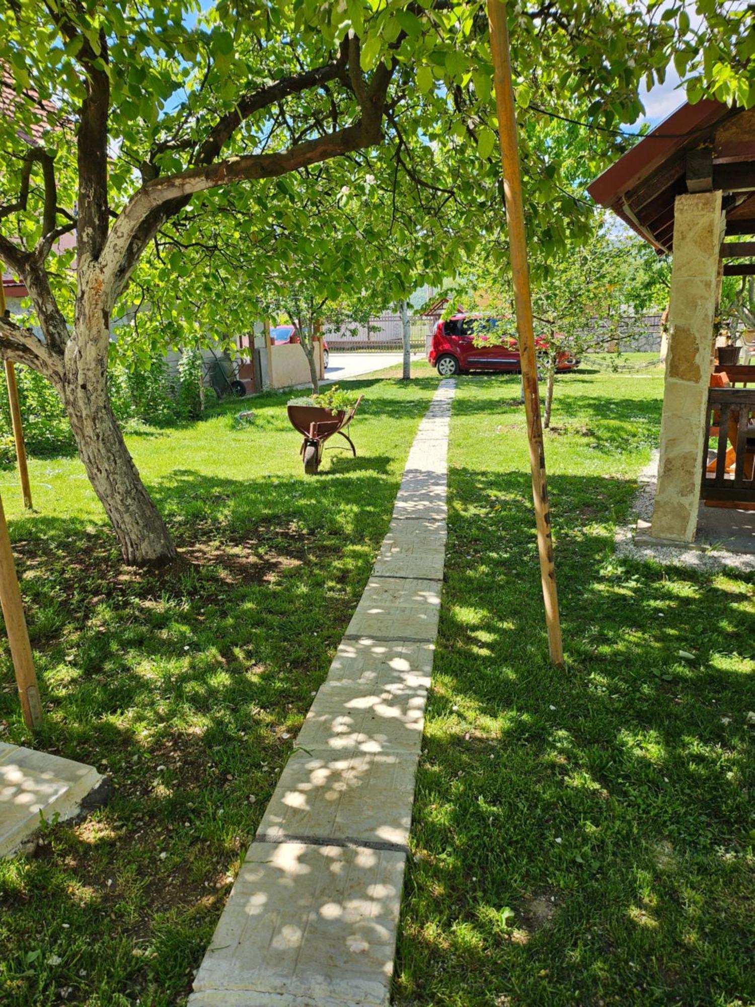 Calm Nest Apartman Nikšić Kültér fotó